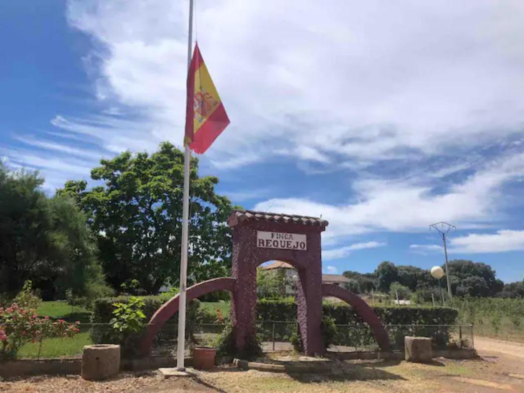 Casa Rural Finca Requejo Cerca De Benavente Tr 49426 Manganeses de la Polvorosa Eksteriør bilde