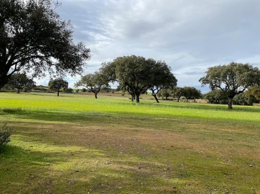 Casa Rural Finca Requejo Cerca De Benavente Tr 49426 Manganeses de la Polvorosa Eksteriør bilde