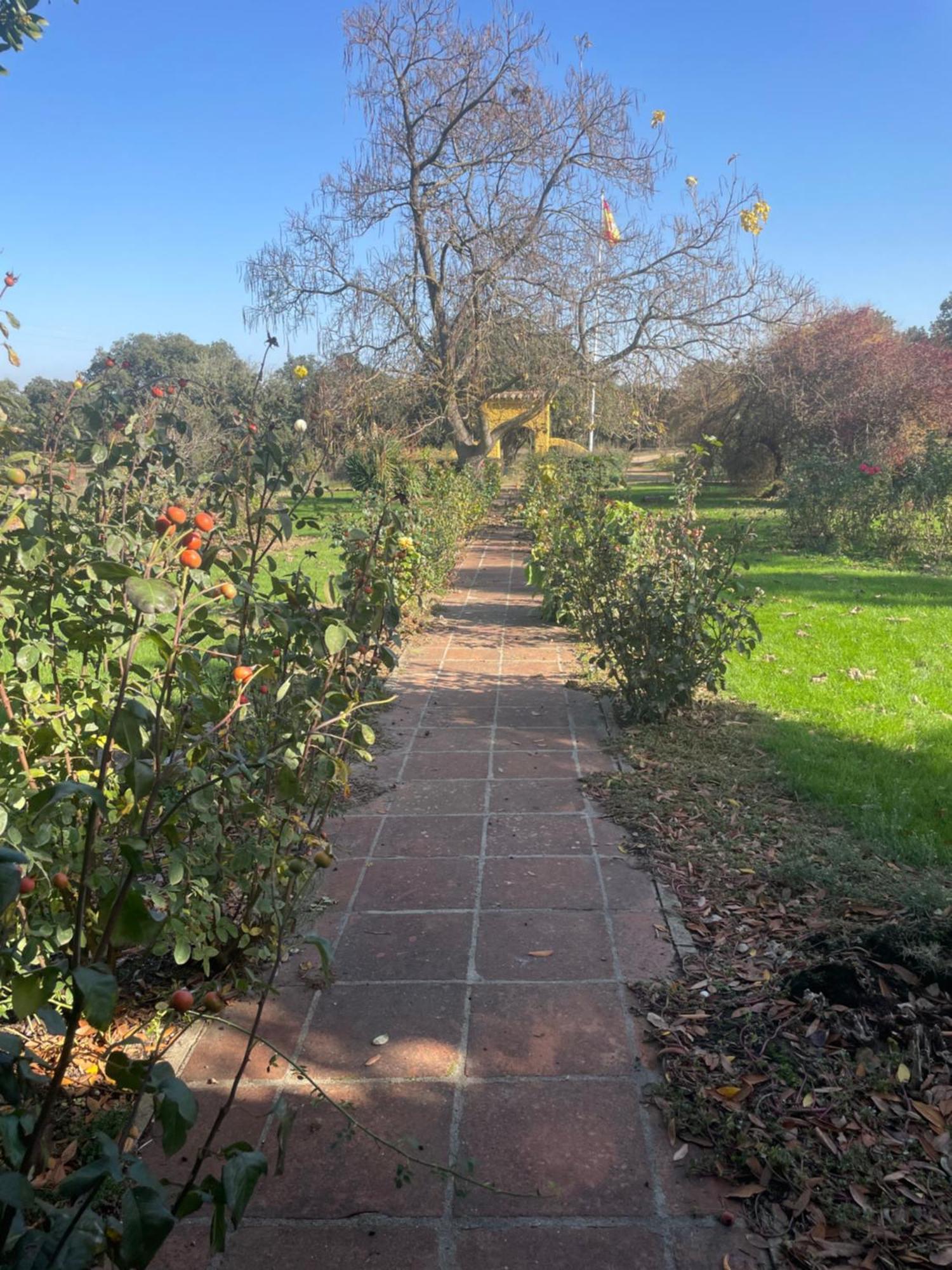 Casa Rural Finca Requejo Cerca De Benavente Tr 49426 Manganeses de la Polvorosa Eksteriør bilde